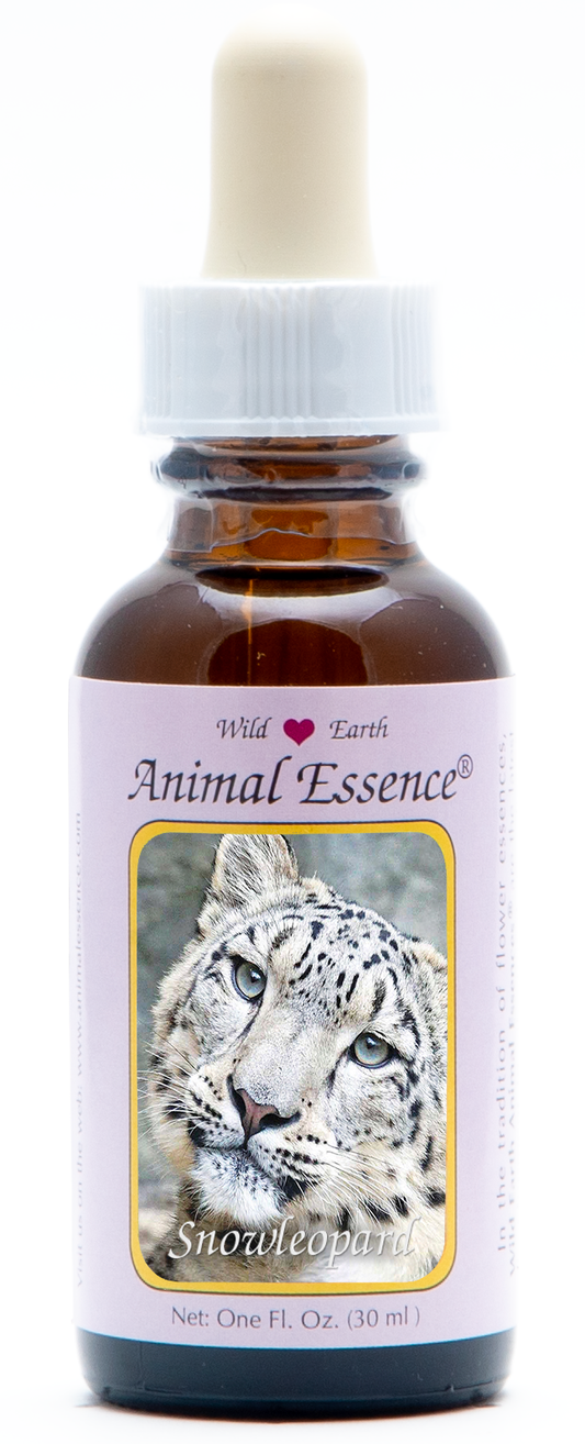Snow leopard animal essence 30ml