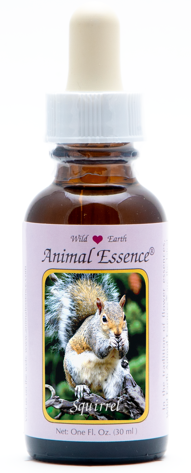 Squirrel animal essence 30ml