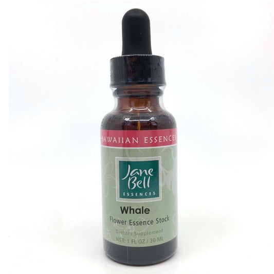 Whale animal essence 30ml by Jane Bell