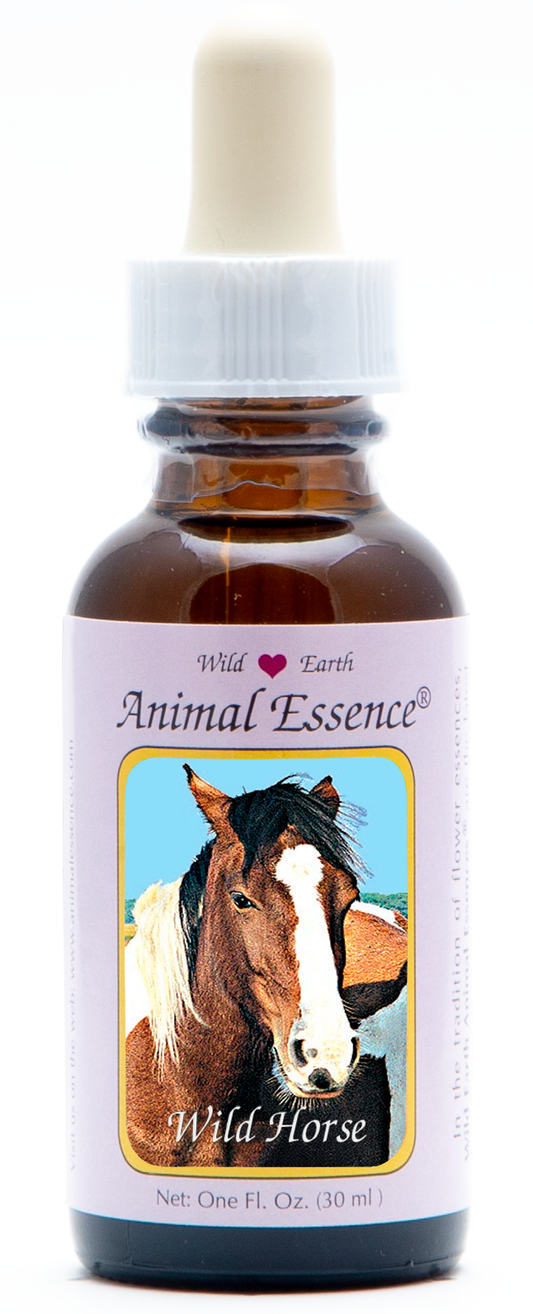 Wild horse animal essence 30ml