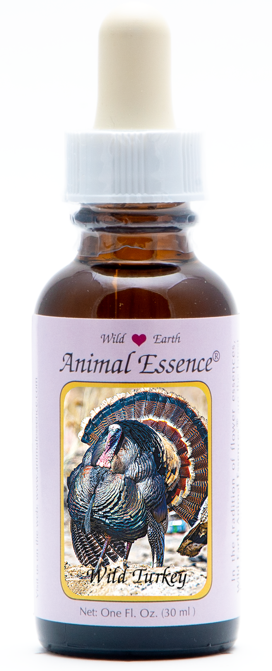 Wild Turkey animal essence 30ml