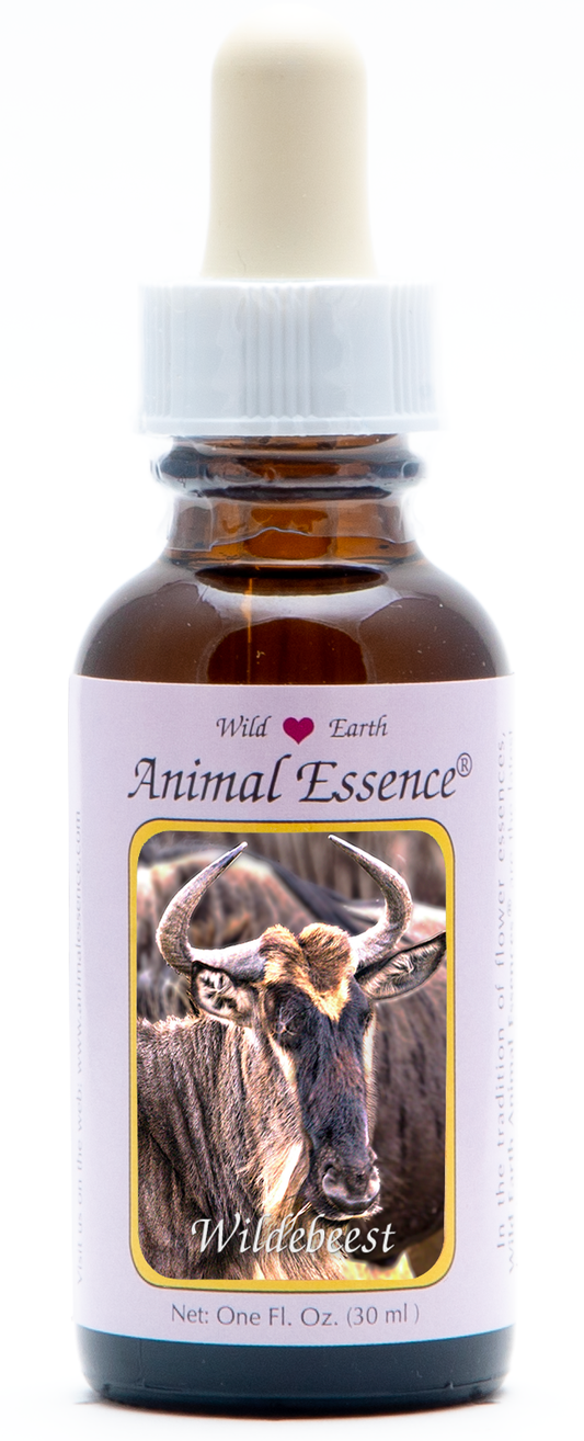 Wildebeest animal essence 30ml