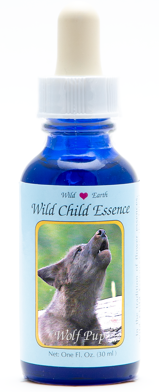 Wolf pup animal essence 30ml