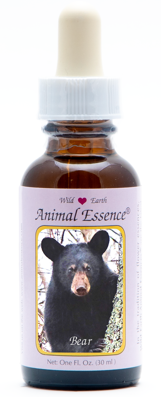 Bear animal essence 30ml